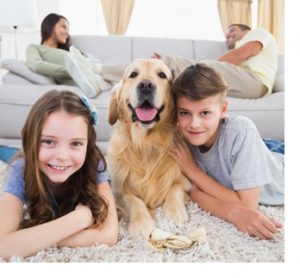 Portrait of happy siblings lying with dog while parents resting